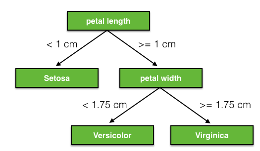 decision tree 1